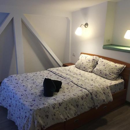 Fantasy Residence 布拉索夫 外观 照片