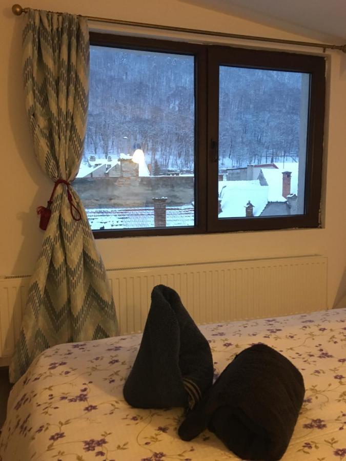 Fantasy Residence 布拉索夫 外观 照片