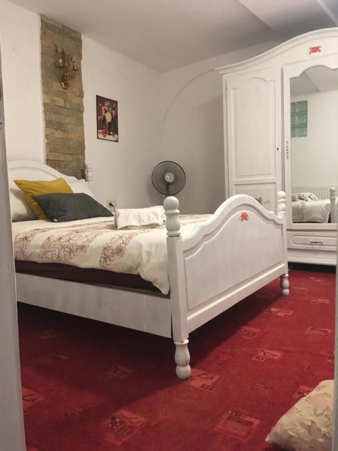 Fantasy Residence 布拉索夫 外观 照片