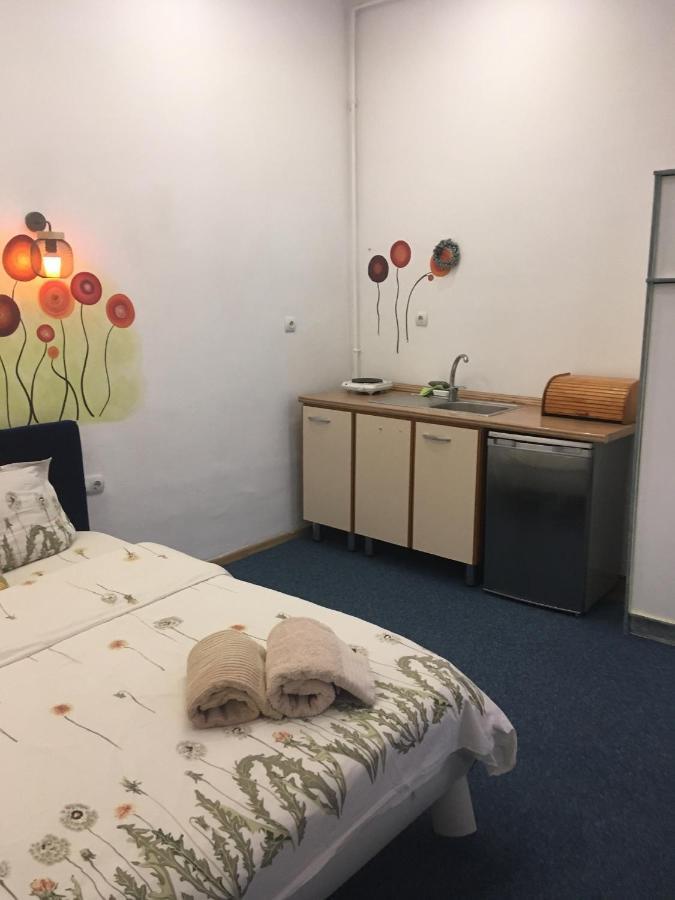 Fantasy Residence 布拉索夫 外观 照片