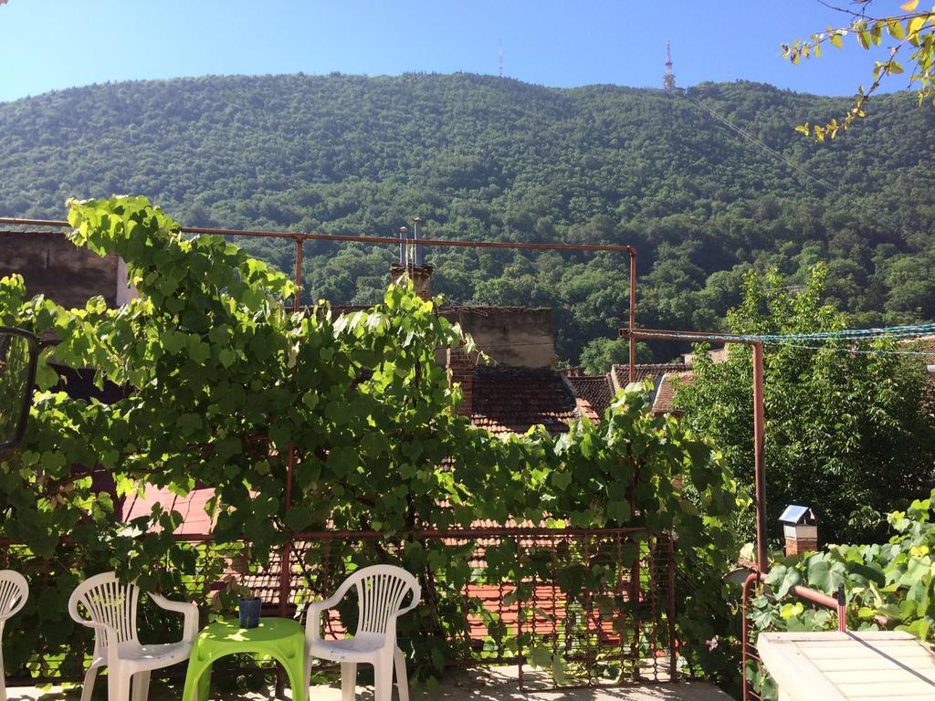 Fantasy Residence 布拉索夫 外观 照片